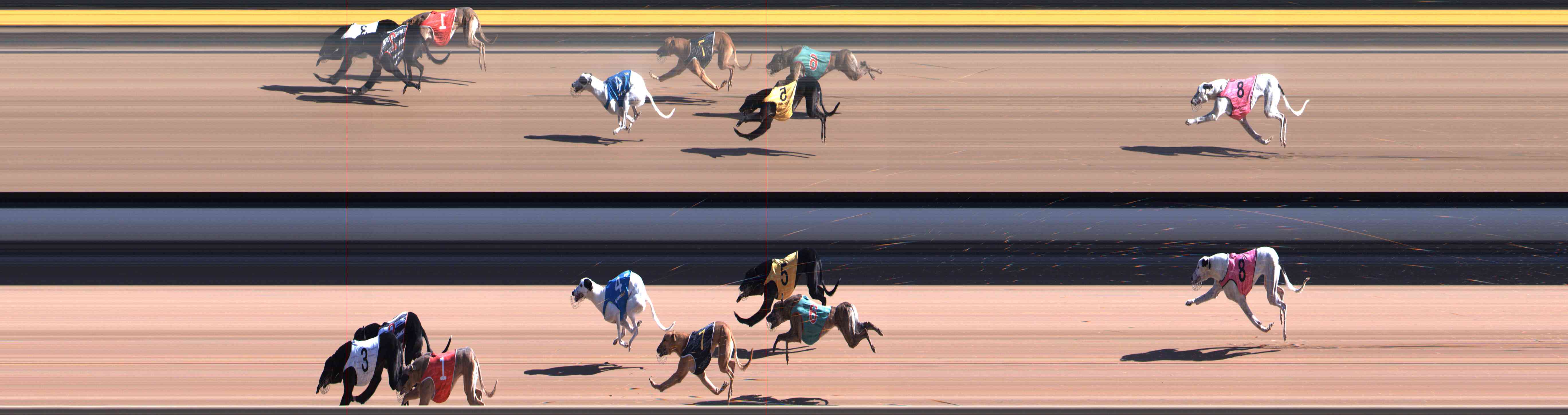 Race result finish photo